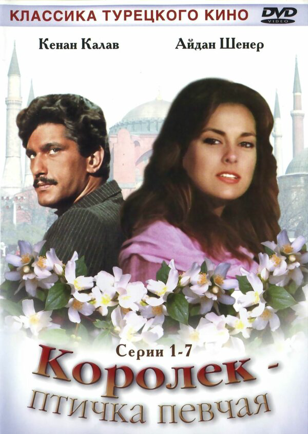 Смотреть Королёк – птичка певчая 1 сезон онлайн бесплатно в HD качестве на русском языке